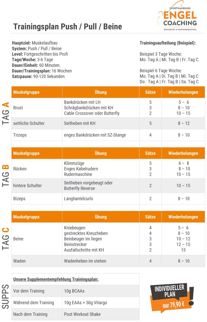 4er Split Muskelaufbau Trainingsplan für Fortgeschrittene Bodybuilder