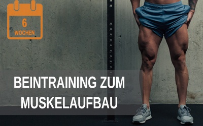 6 Wochen Trainingsplan für starke Beine