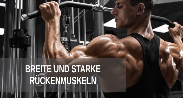 Tipps und Tricks für breite und starke Rückenmuskeln