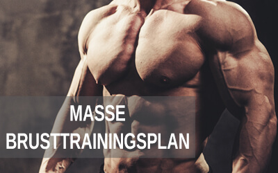 Brust-Trainingsplan für mehr Masse