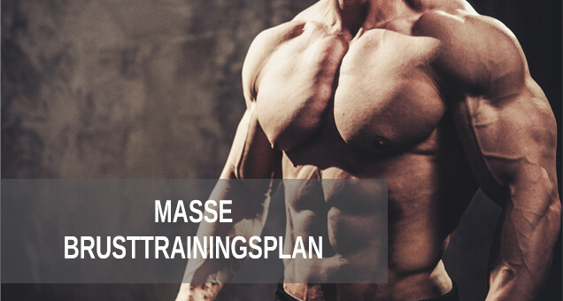 Masse Trainingsplan für eine massige Brust