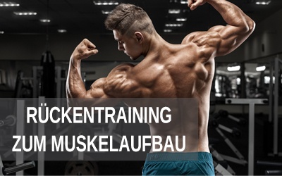 Rückentraining zum Muskelaufbau, Trainingsplan Rücken