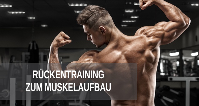 Rückentraining zum Muskelaufbau, Trainingsplan Rücken