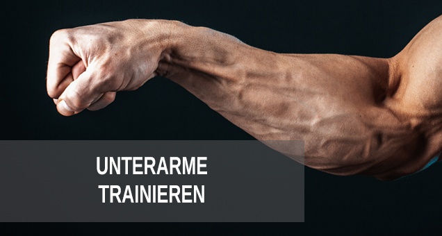 Unterarme trainieren für mehr Kraft und Muskelaufbau