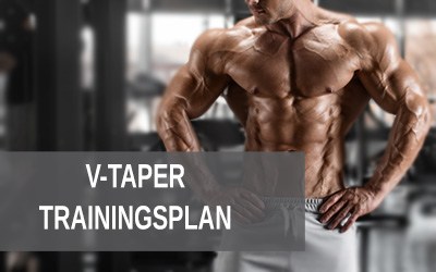 V Taper Rücken Trainingsplan