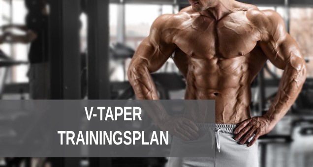 V Taper Trainingsplan für einen v-förmigen Rücken