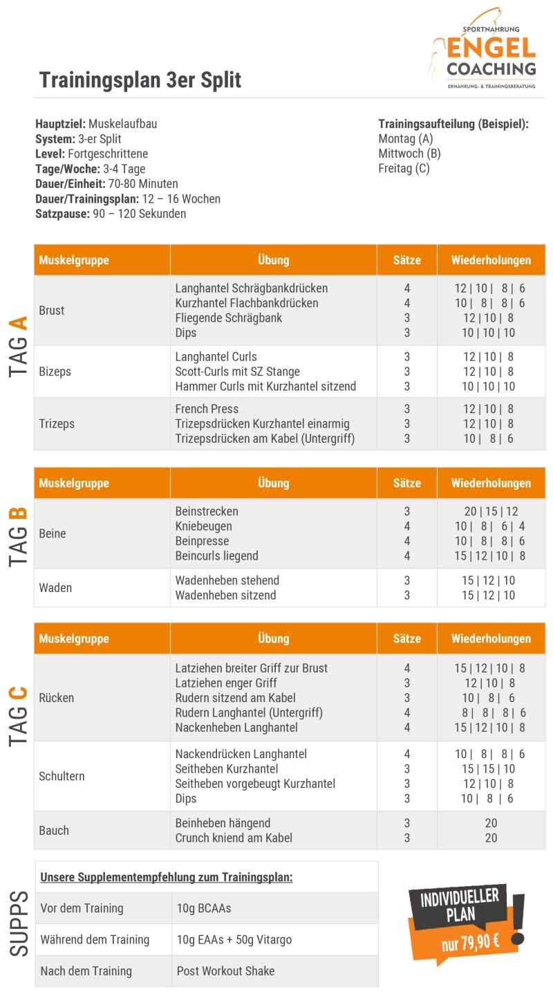 3er Split Trainingsplan zum Muskelaufbau