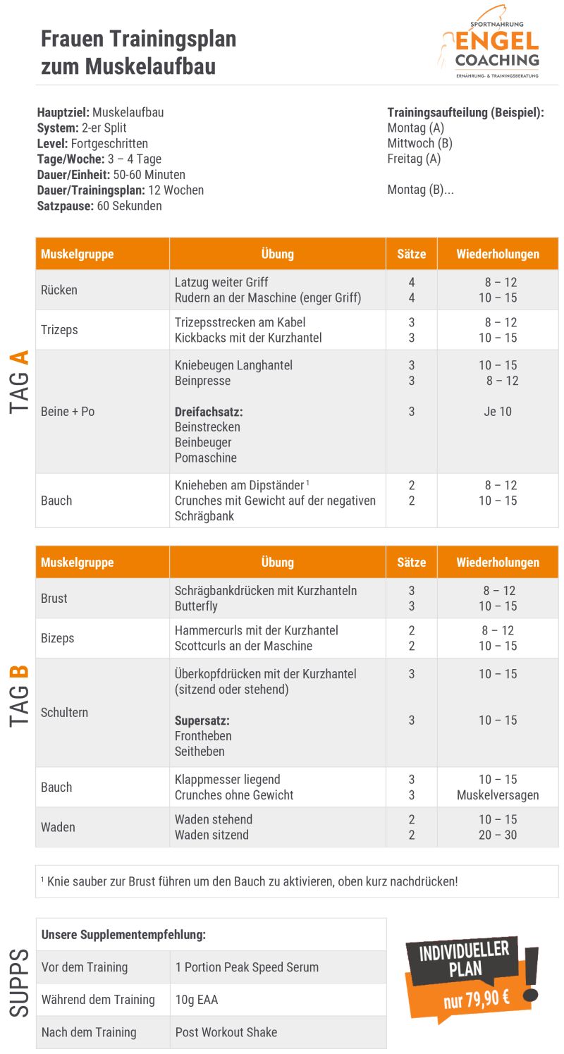 Trainingsplan für Frauen zum Muskelaufbau und Körper straffen