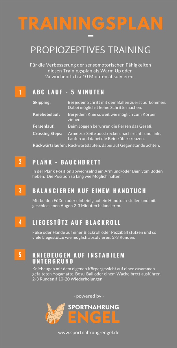 Trainingsplan probriozeptives Training