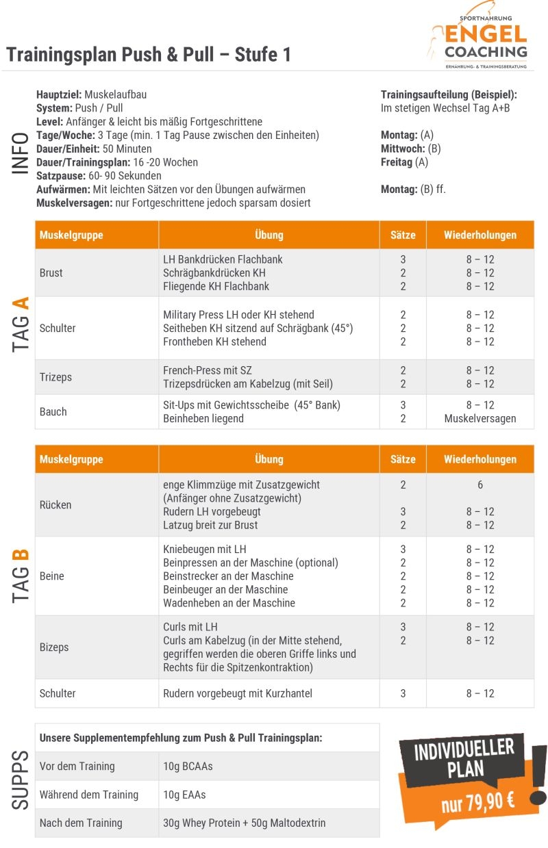 Push Pull Trainingsplan zum Muskelaufbau für Beginner