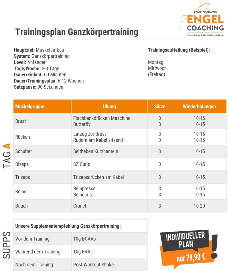 Ganzkörpertraining Trainingsplan zum Muskelaufbau