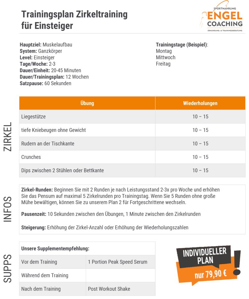 Zirkeltraining Zum Muskelaufbau Trainingsplan