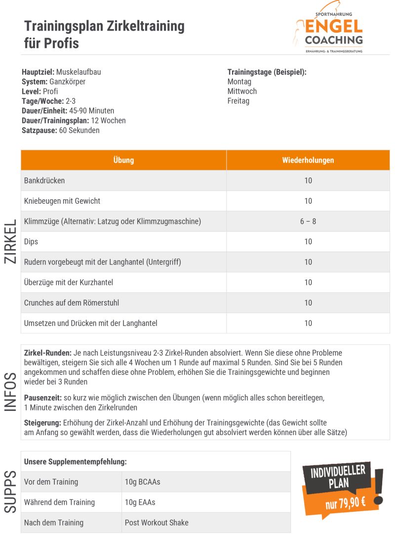 Zirkeltraining zum Muskelaufbau für Profis