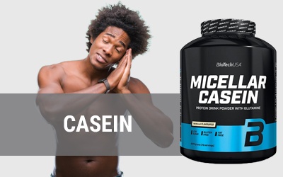 Casein Protein kaufen