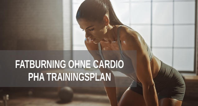 Fettverbrennung für Frauen ohne Cardiotraining