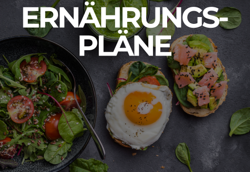 Individueller Ernährungsplan Individueller Ernährungsplan